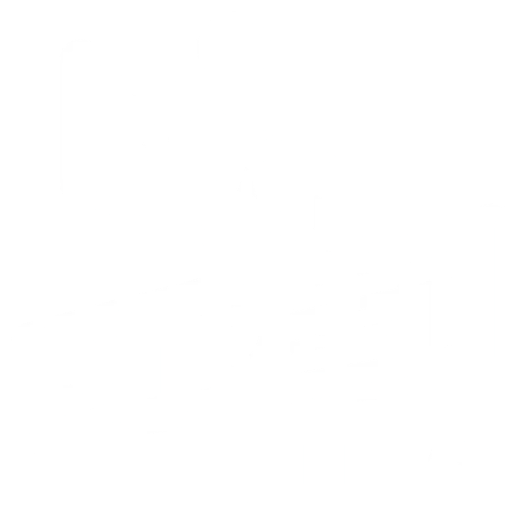 Mad Street Films logo